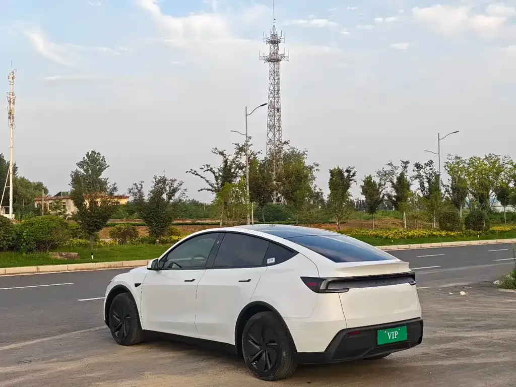 Tesla Model Y — фото 4