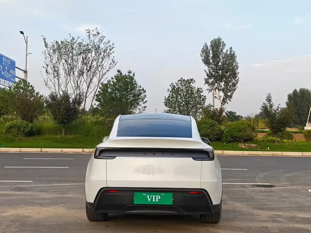 Tesla Model Y — фото 7