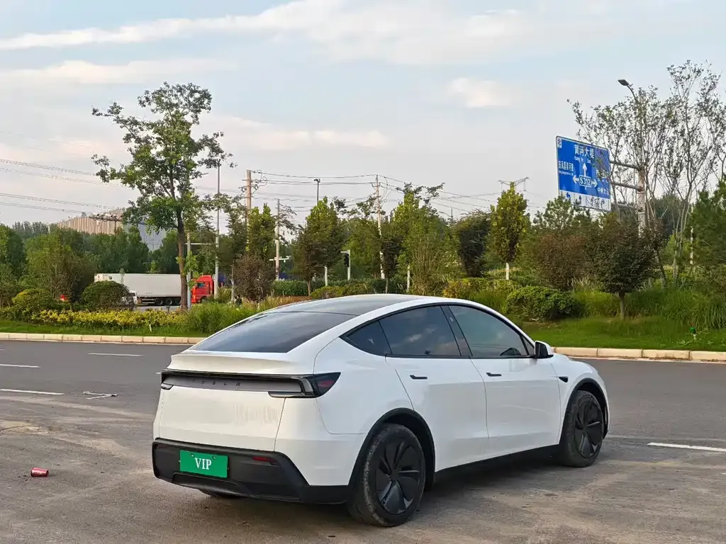 Tesla Model Y — фото 9