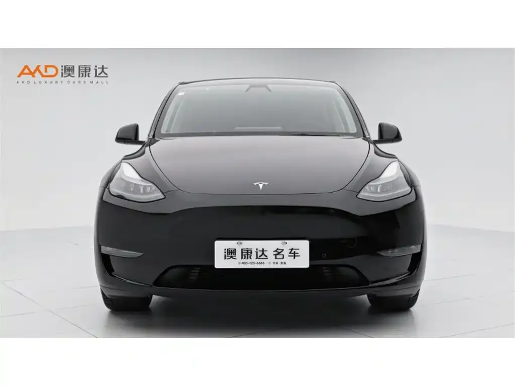 Tesla Model Y — фото 8