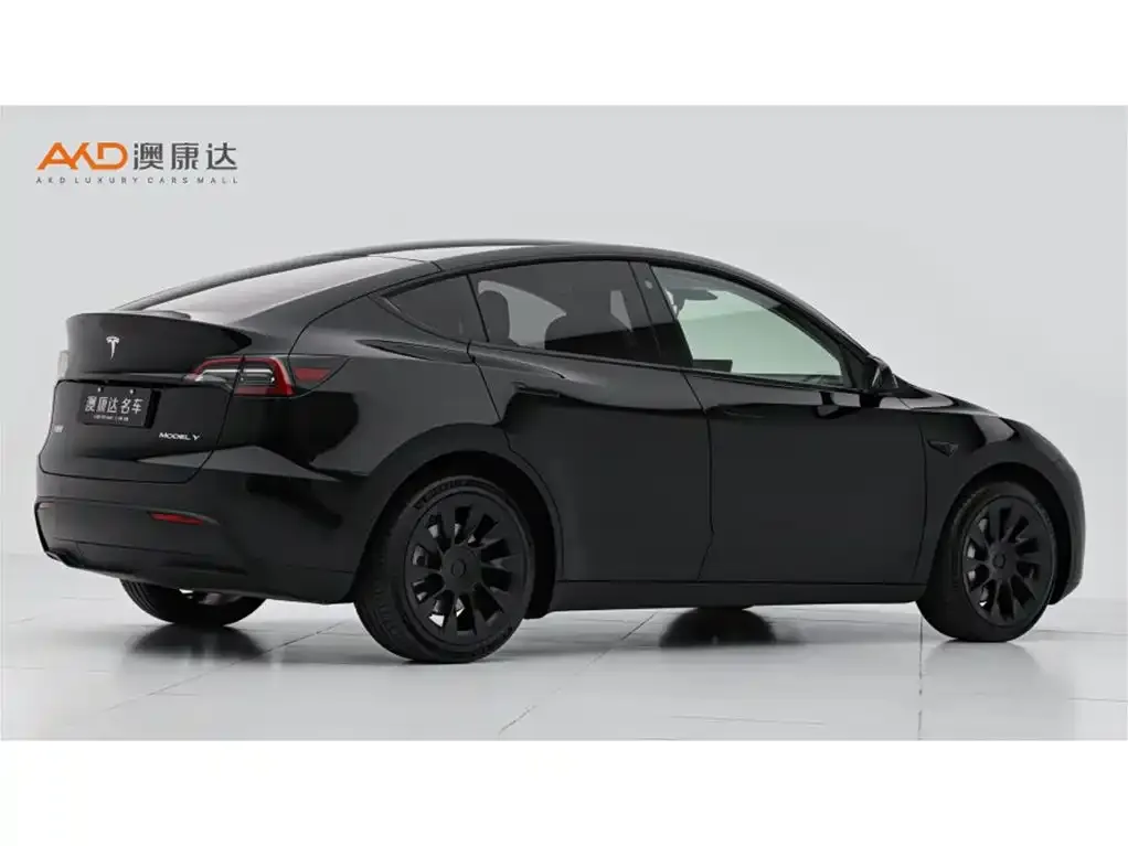 Tesla Model Y — фото 5