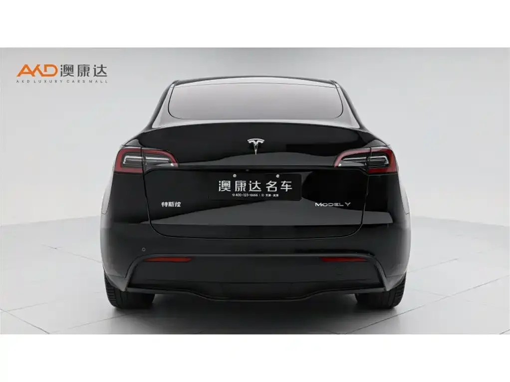 Tesla Model Y — фото 2