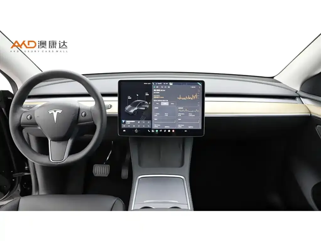 Tesla Model Y — фото 6