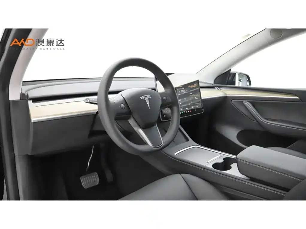 Tesla Model Y — фото 10