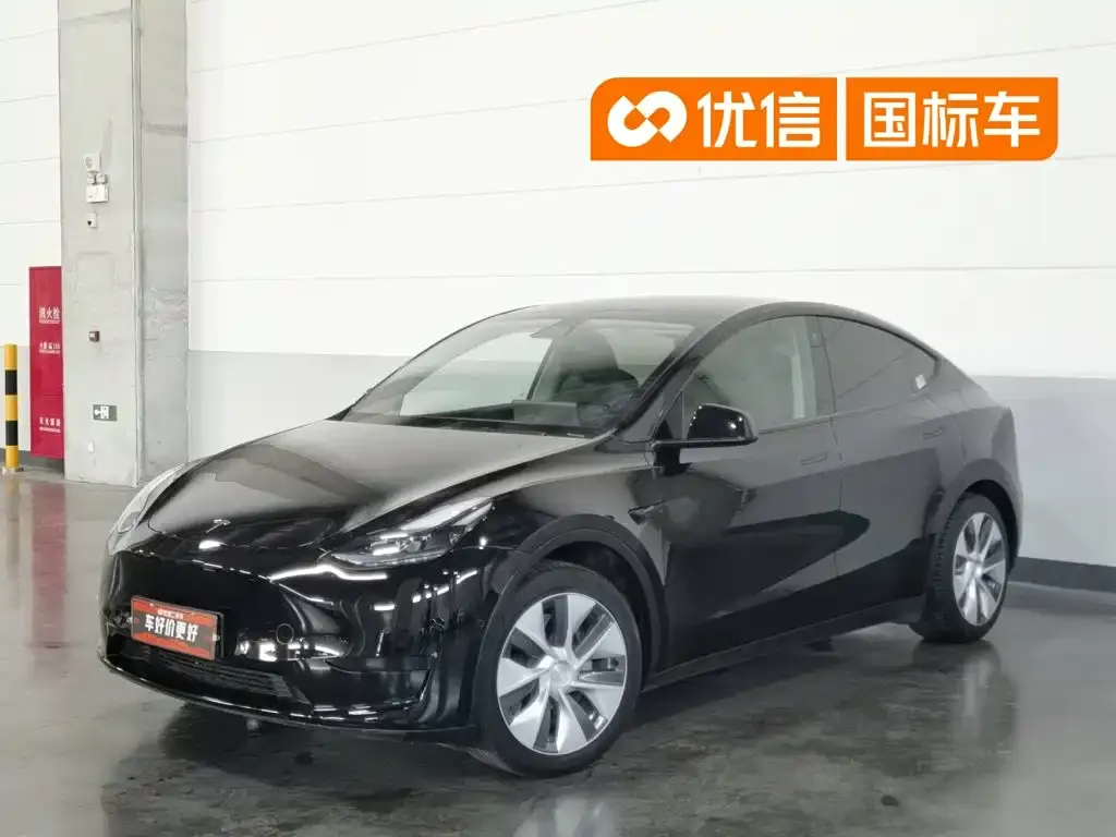 Tesla Model Y — фото 1