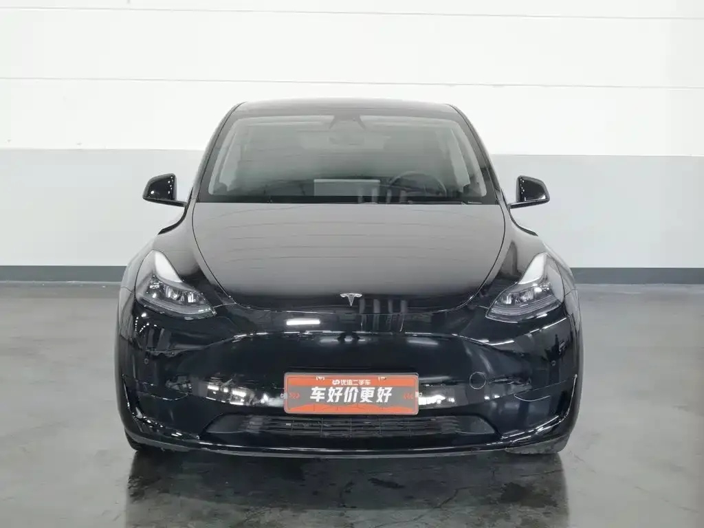 Tesla Model Y — фото 2
