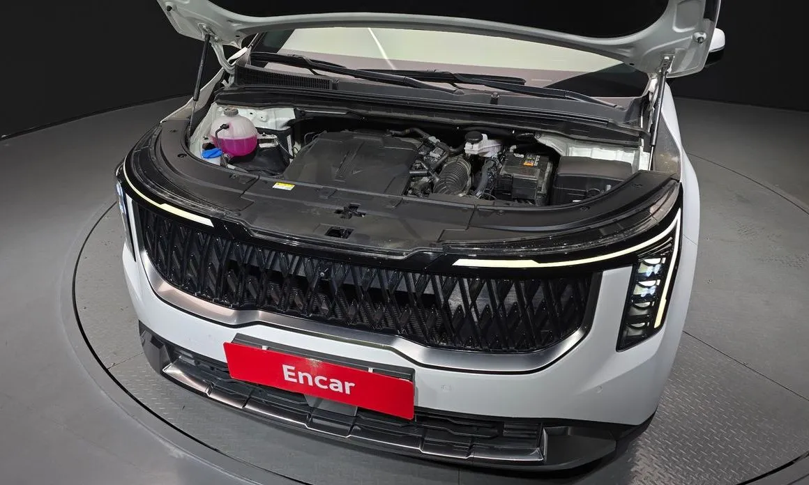 Kia Carnival — фото 10