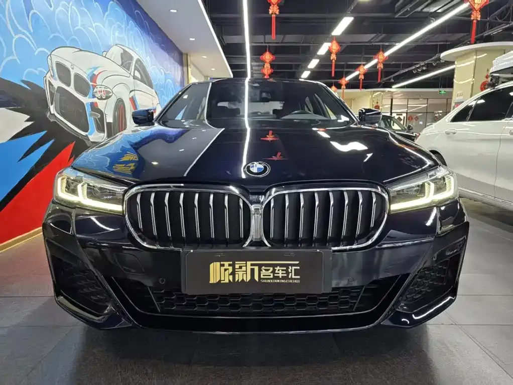 BMW 5 Series New Energy — фото 9