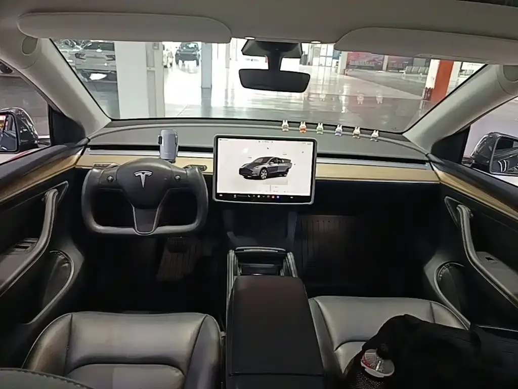 Tesla Model Y — фото 10