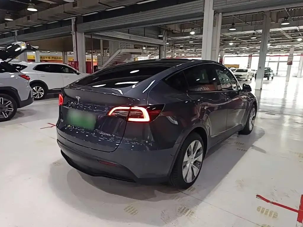 Tesla Model Y — фото 9