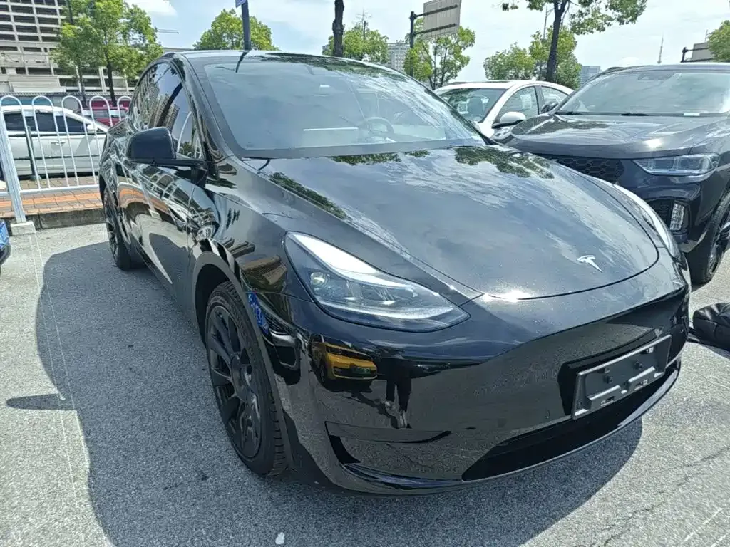 Tesla Model Y — фото 9