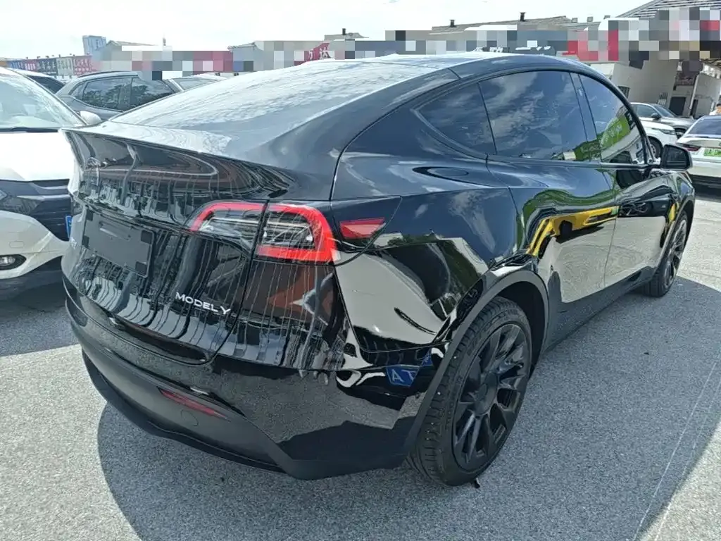 Tesla Model Y — фото 3
