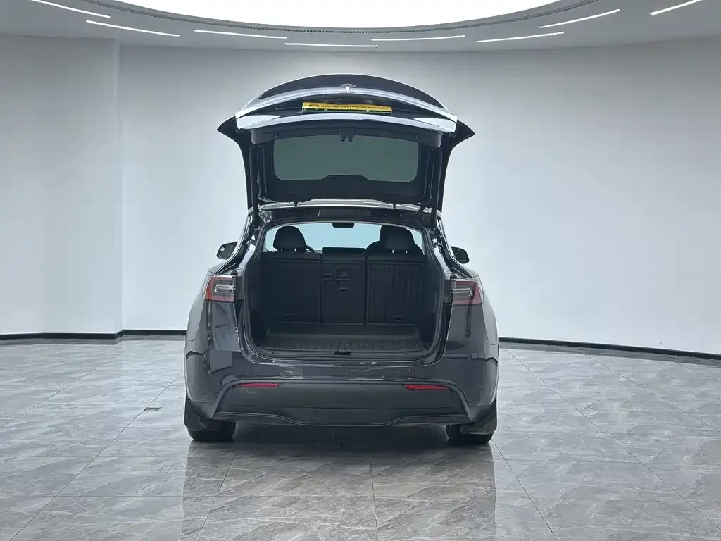 Tesla Model Y — фото 8