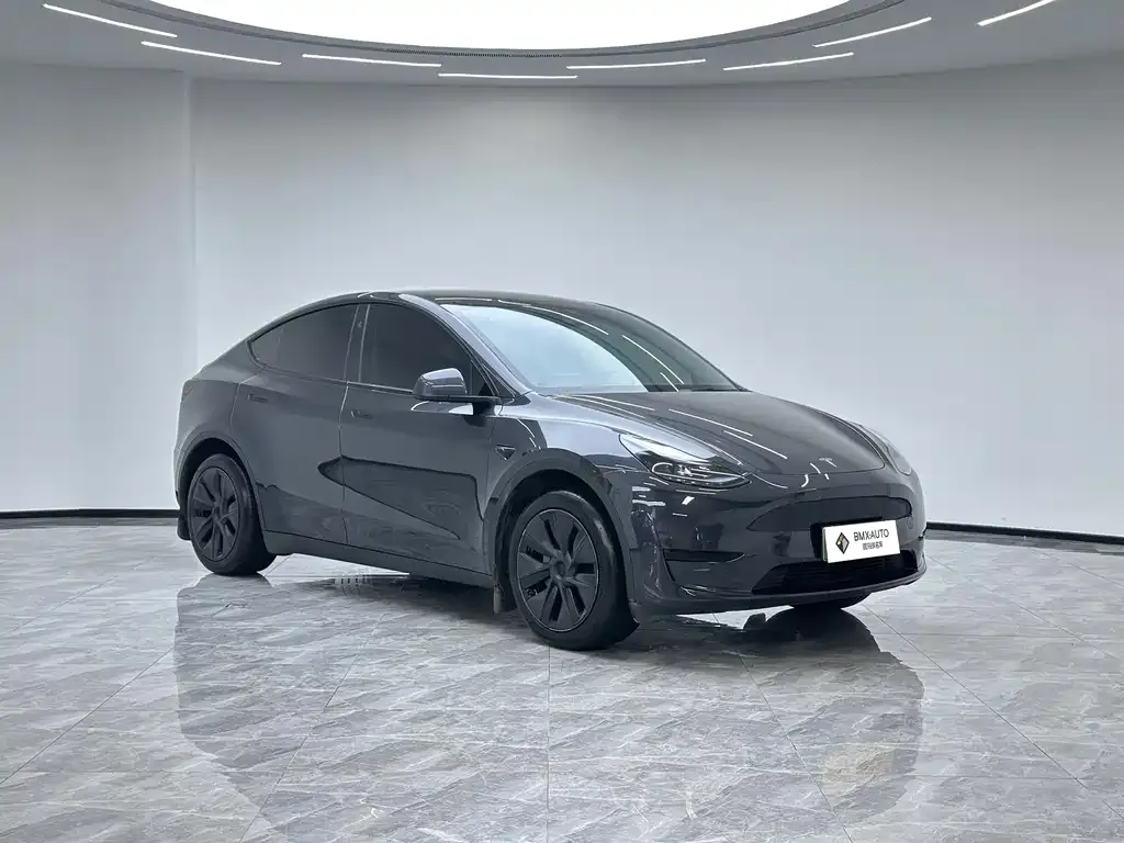 Tesla Model Y — фото 5