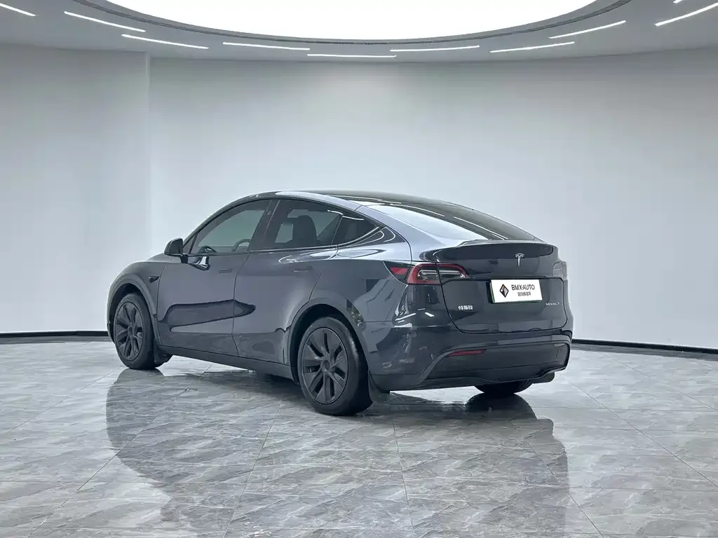 Tesla Model Y — фото 2
