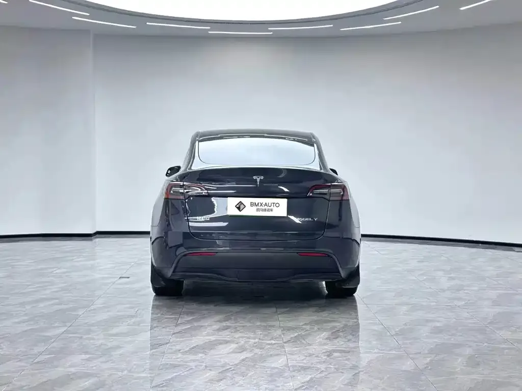 Tesla Model Y — фото 4