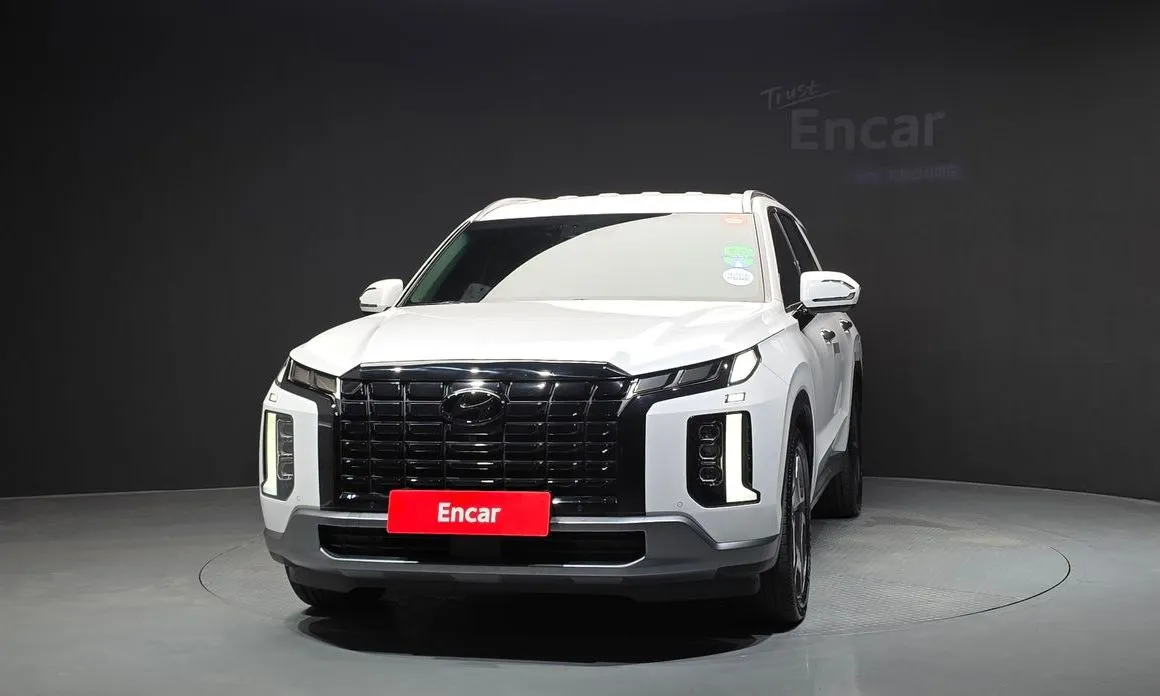 Hyundai Palisade — фото 8