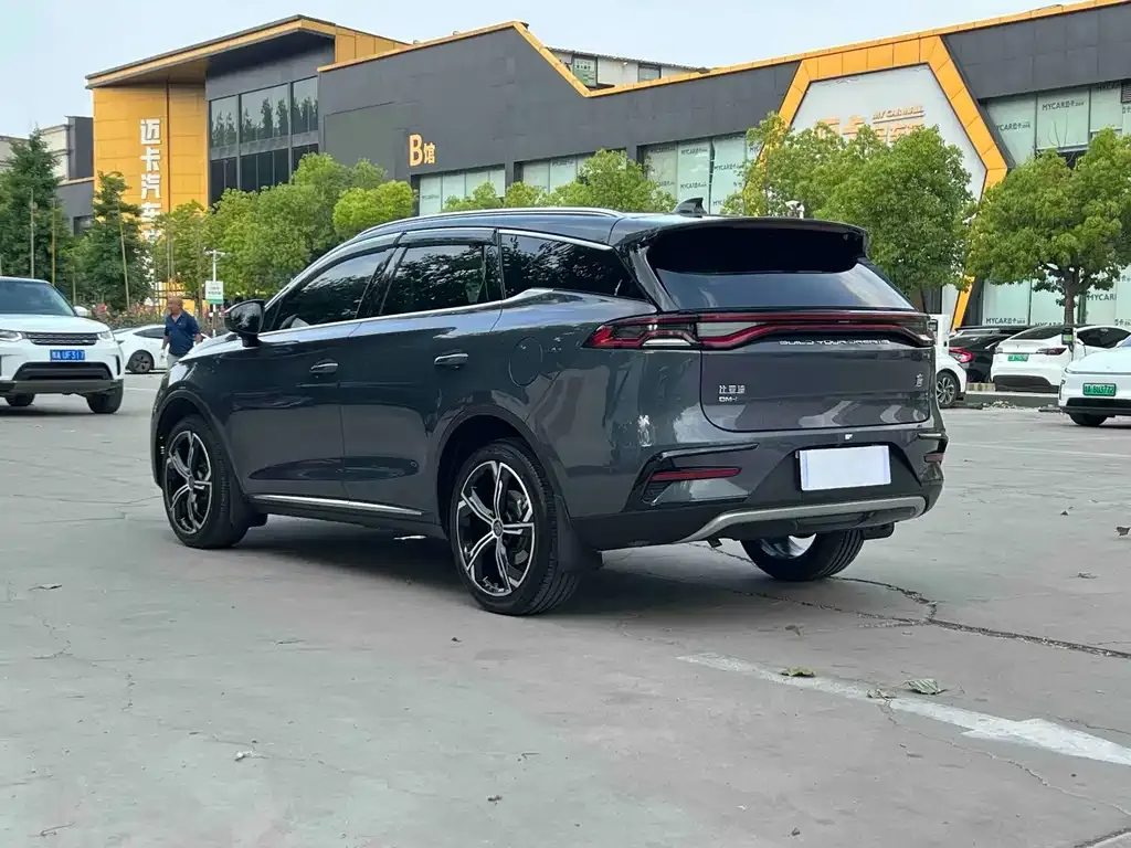BYD Tang New Energy — фото 10