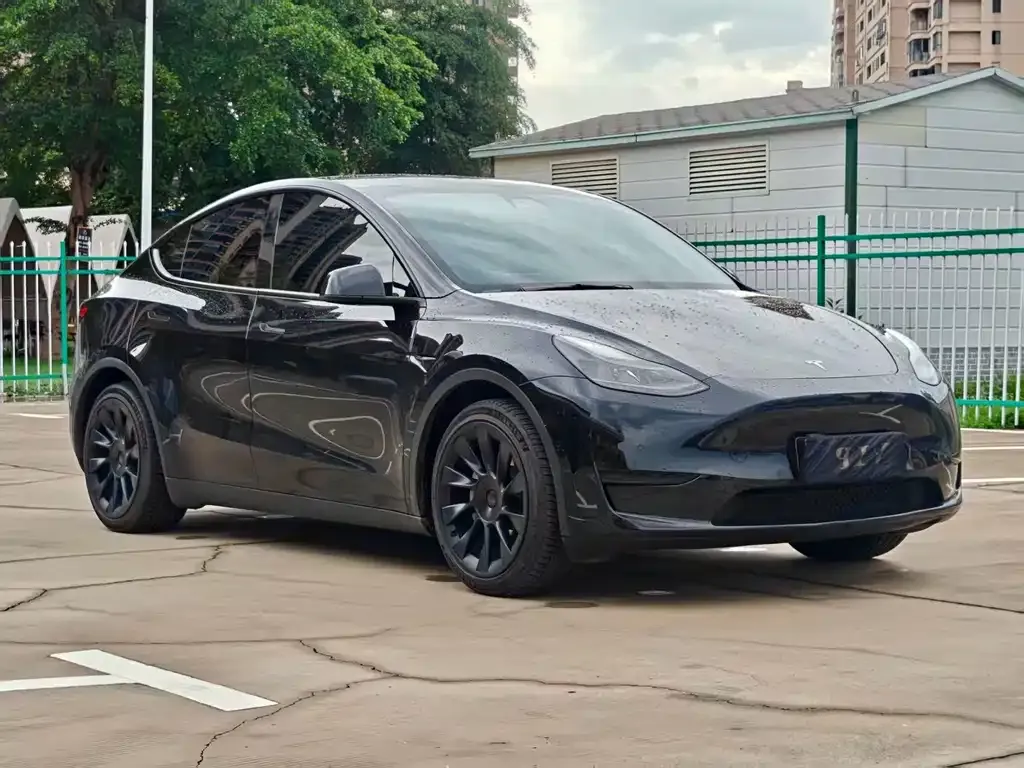 Tesla Model Y — фото 9