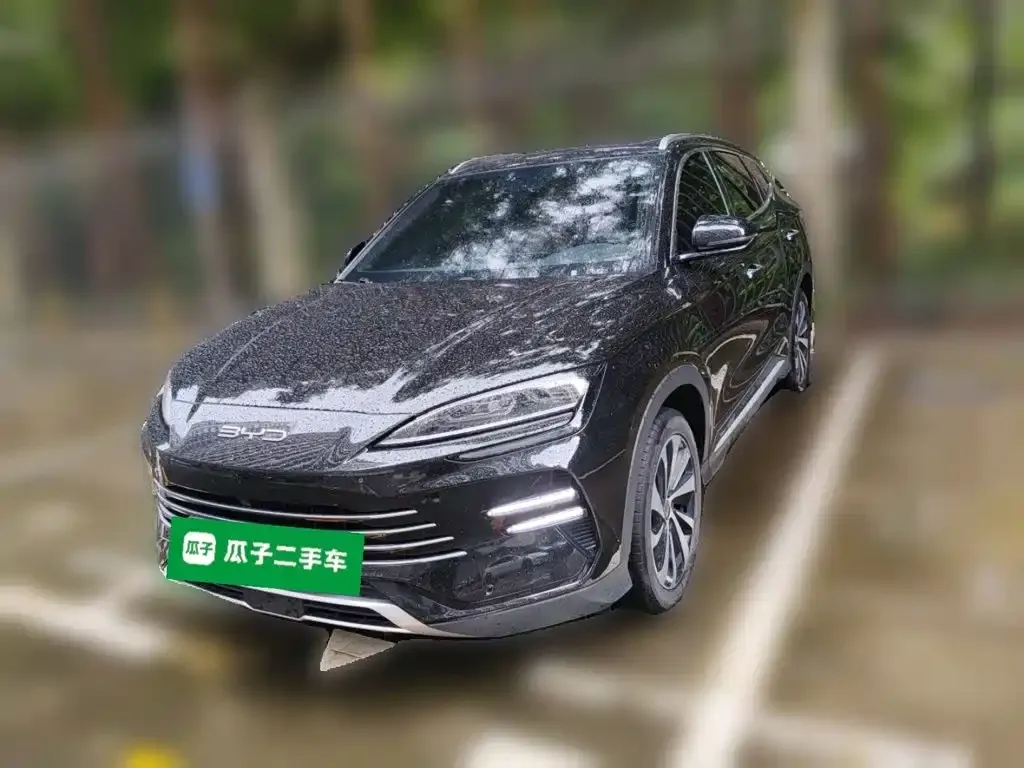 BYD PLUS New Energy — фото 1