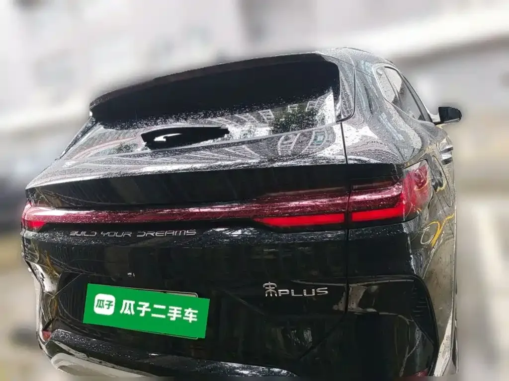 BYD PLUS New Energy — фото 3
