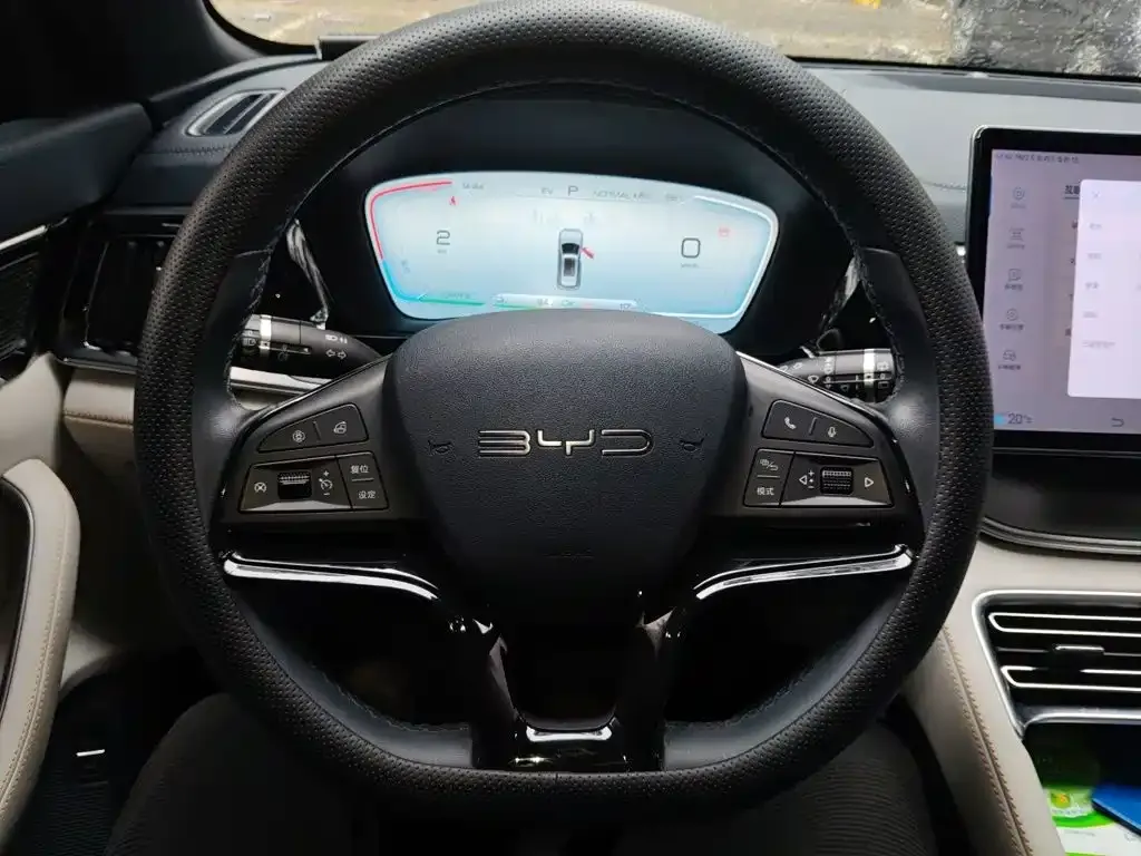 BYD PLUS New Energy — фото 4