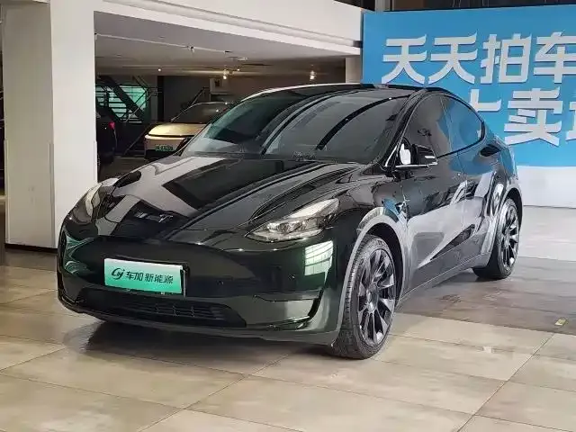 Tesla Model Y — фото 1