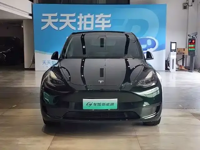 Tesla Model Y — фото 2