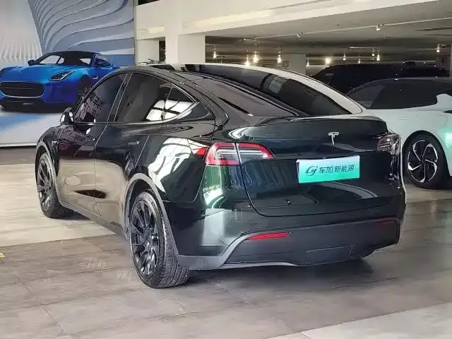 Tesla Model Y — фото 3
