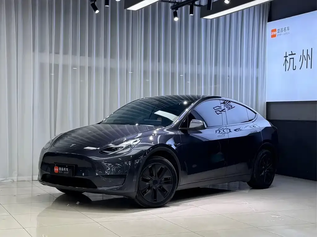 Tesla Model Y — фото 1