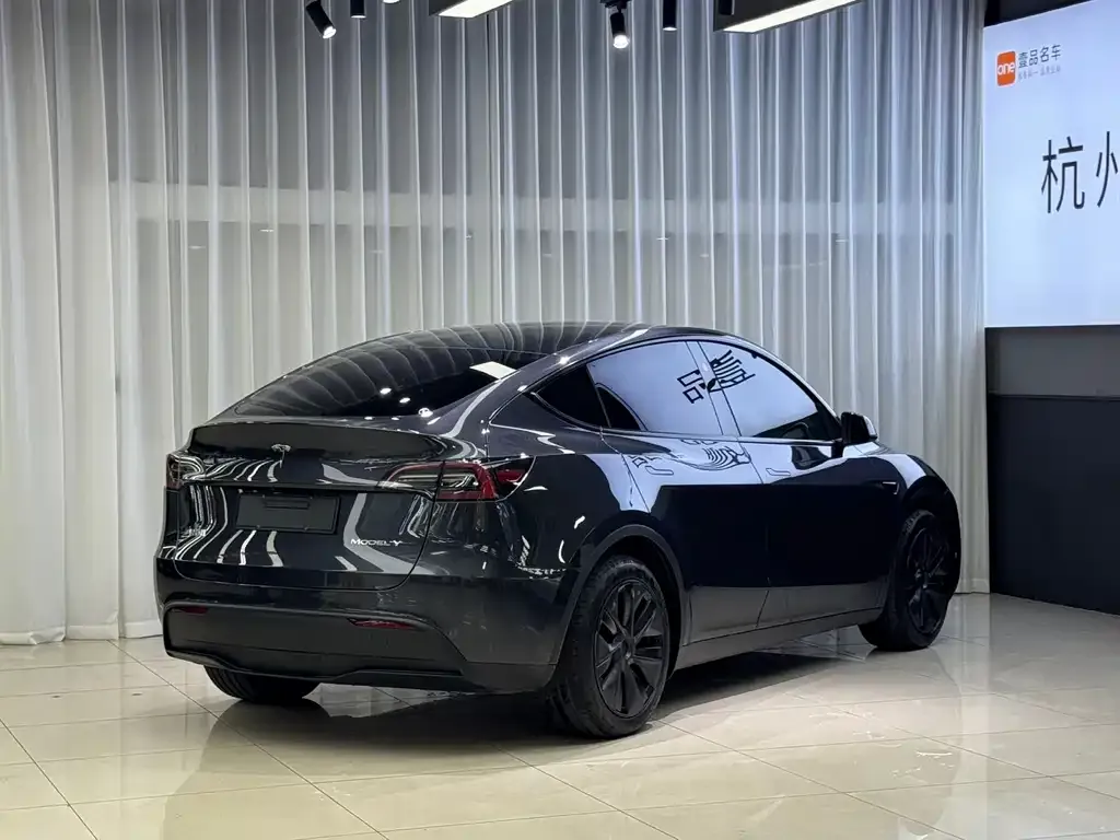 Tesla Model Y — фото 9