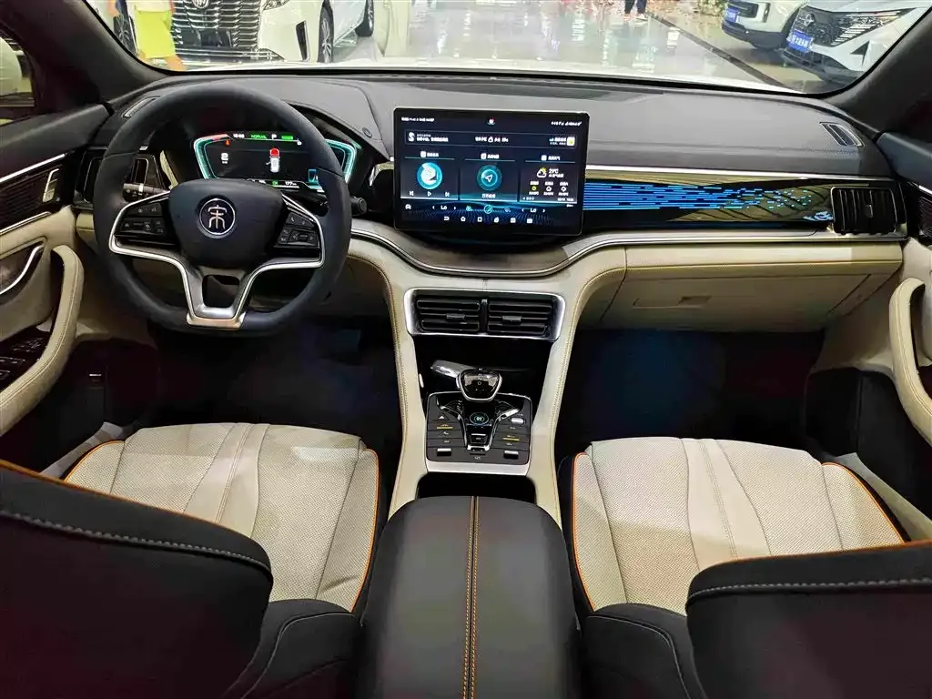 BYD PLUS New Energy — фото 10