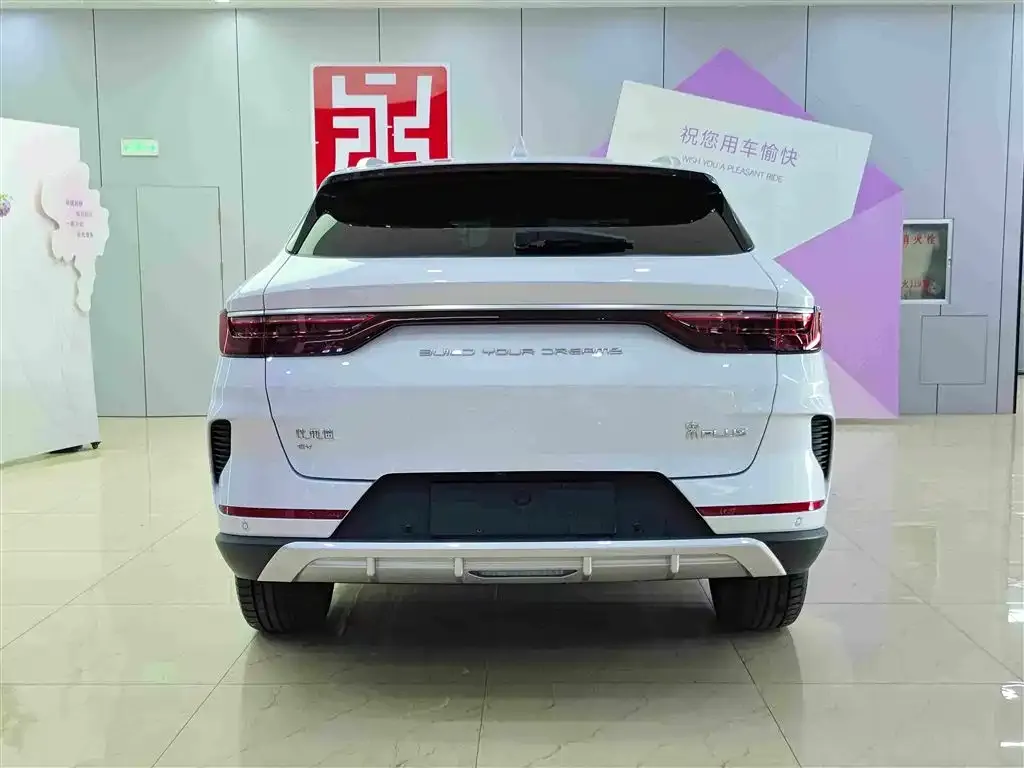 BYD PLUS New Energy — фото 8