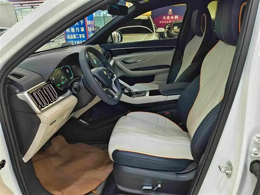 BYD PLUS New Energy — фото 5