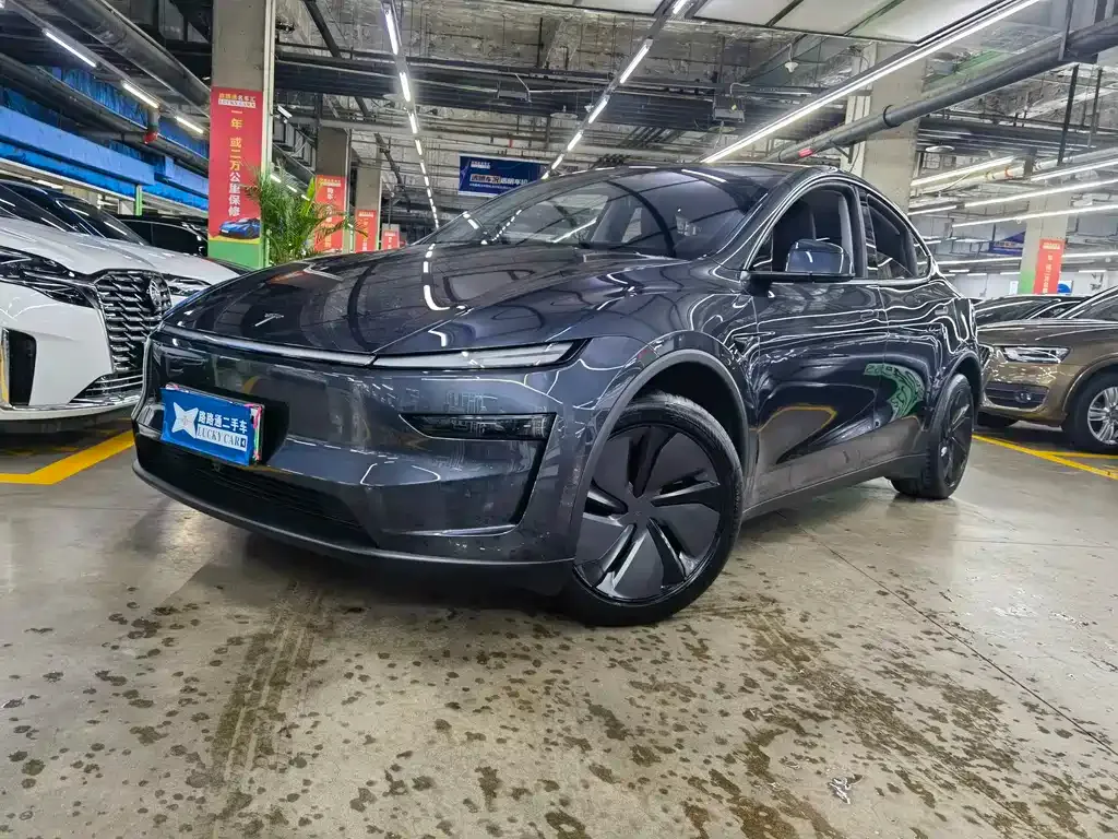 Tesla Model Y — фото 1