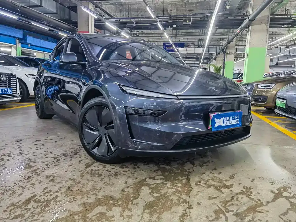 Tesla Model Y — фото 7