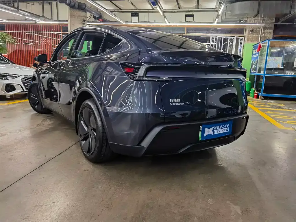 Tesla Model Y — фото 6