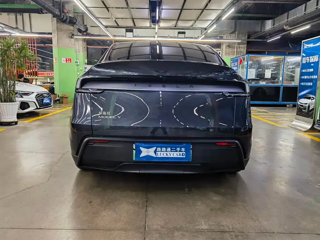 Tesla Model Y — фото 10