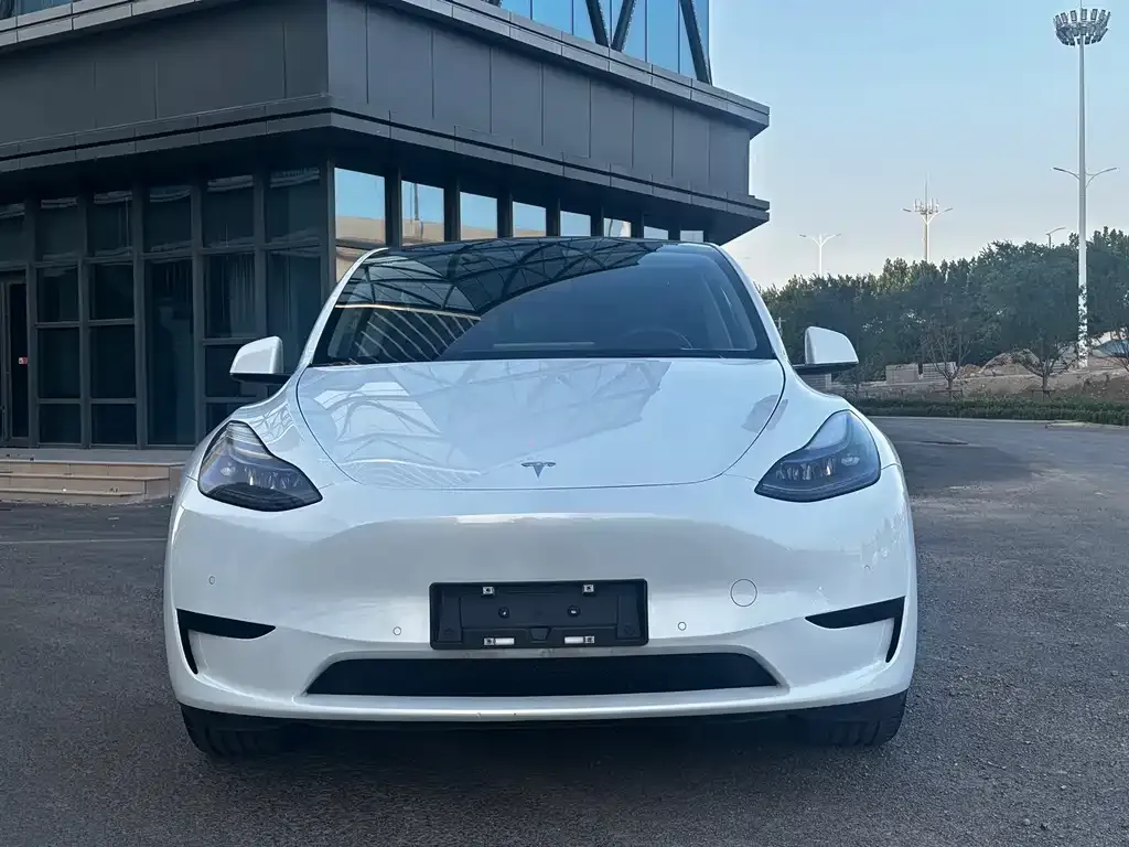 Tesla Model Y — фото 7