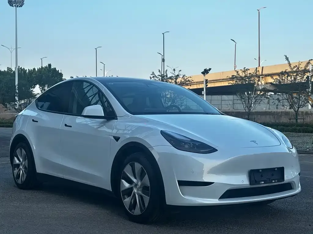 Tesla Model Y — фото 6