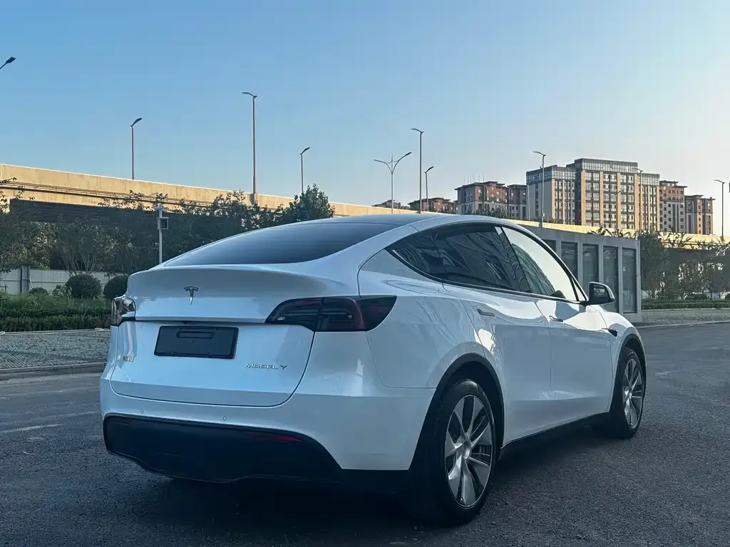 Tesla Model Y — фото 8
