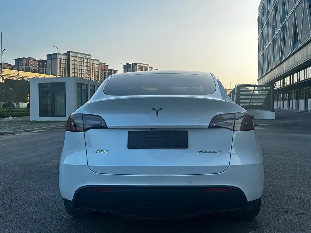 Tesla Model Y — фото 10