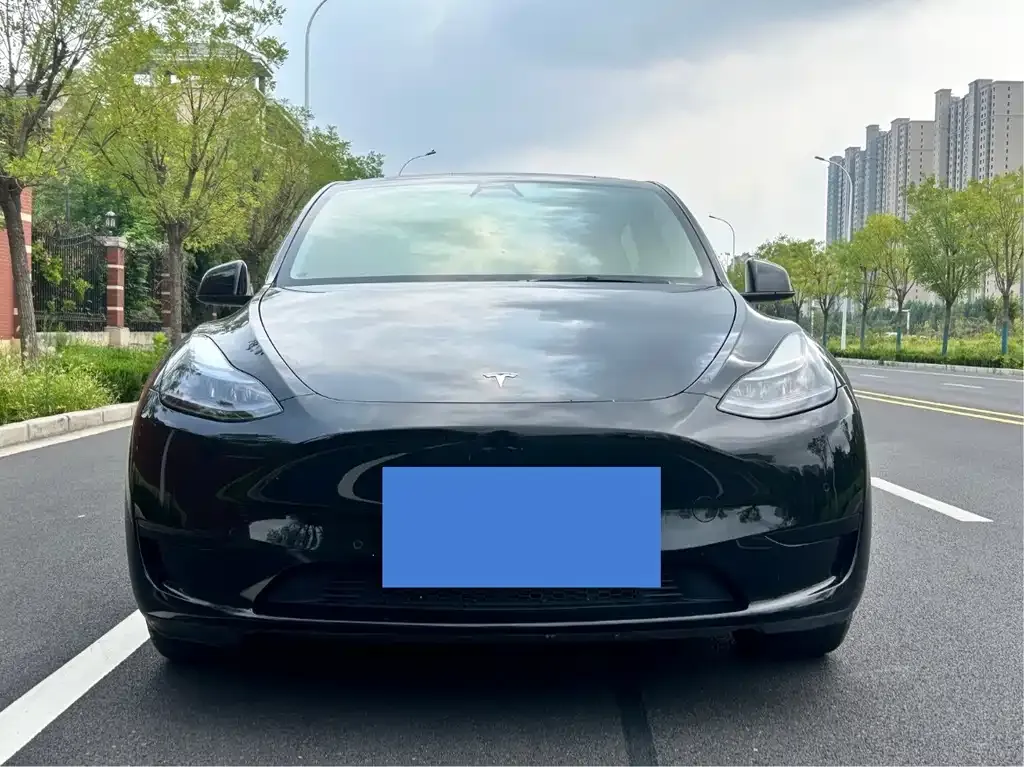 Tesla Model Y — фото 3