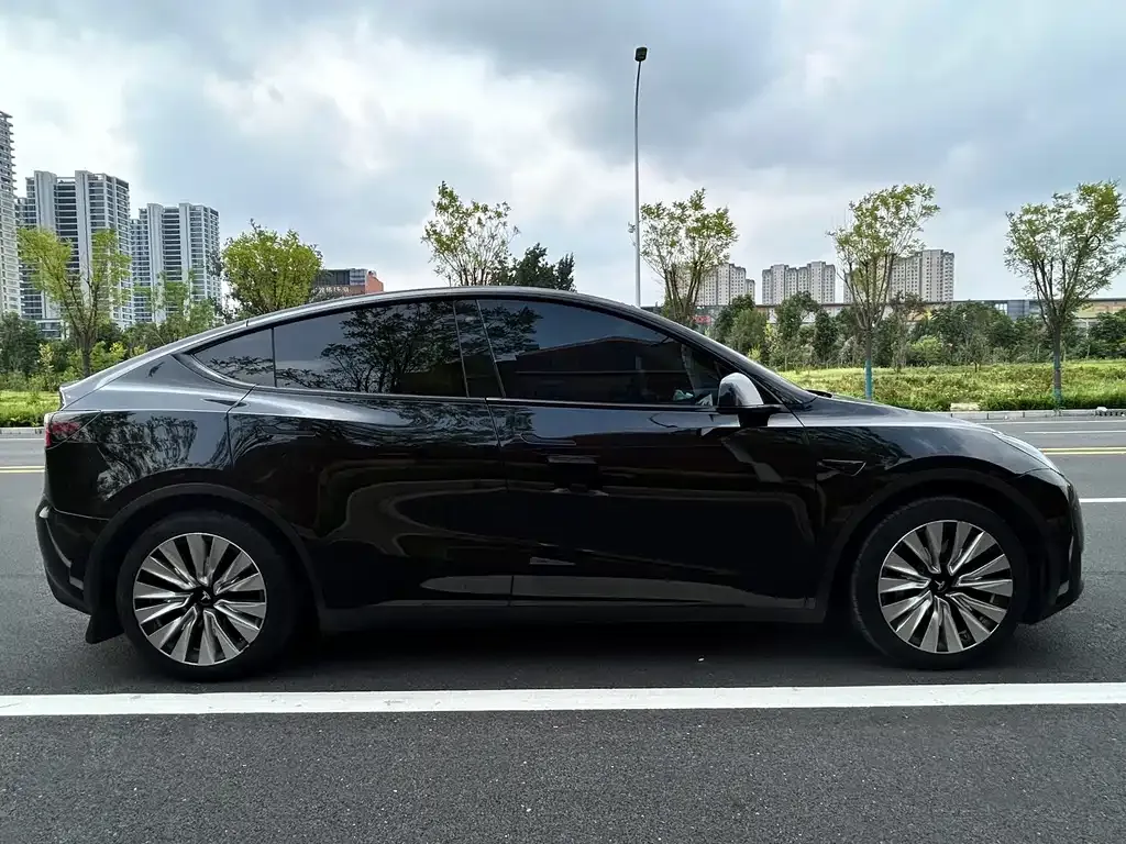 Tesla Model Y — фото 7