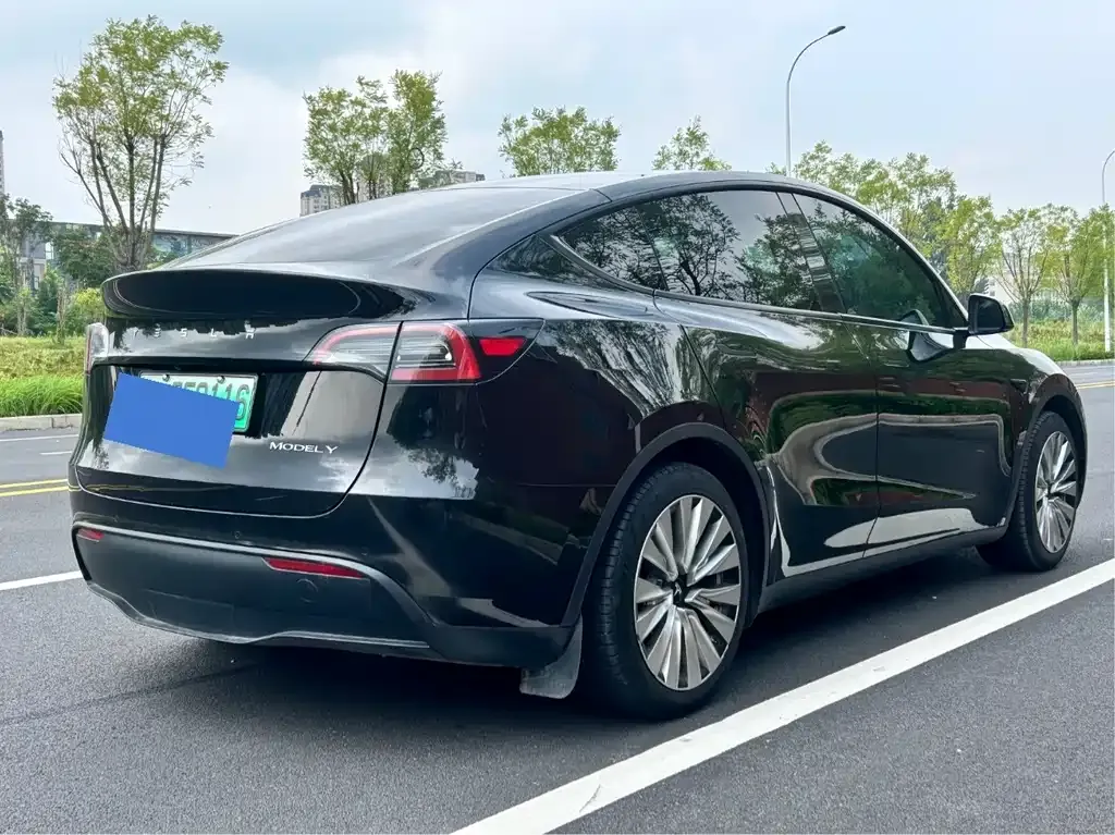 Tesla Model Y — фото 2