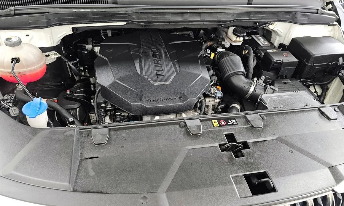 Kia Carnival — фото 10