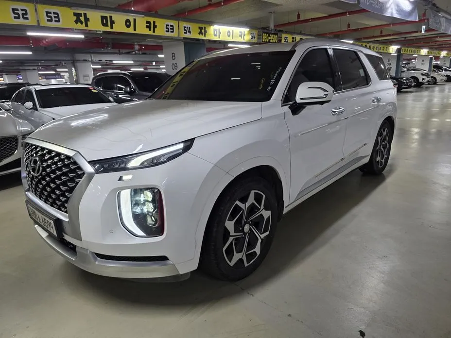Hyundai Palisade — фото 8