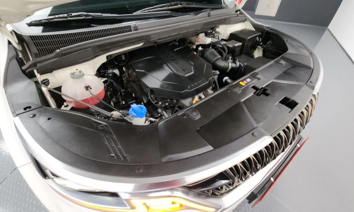 Kia Carnival — фото 10