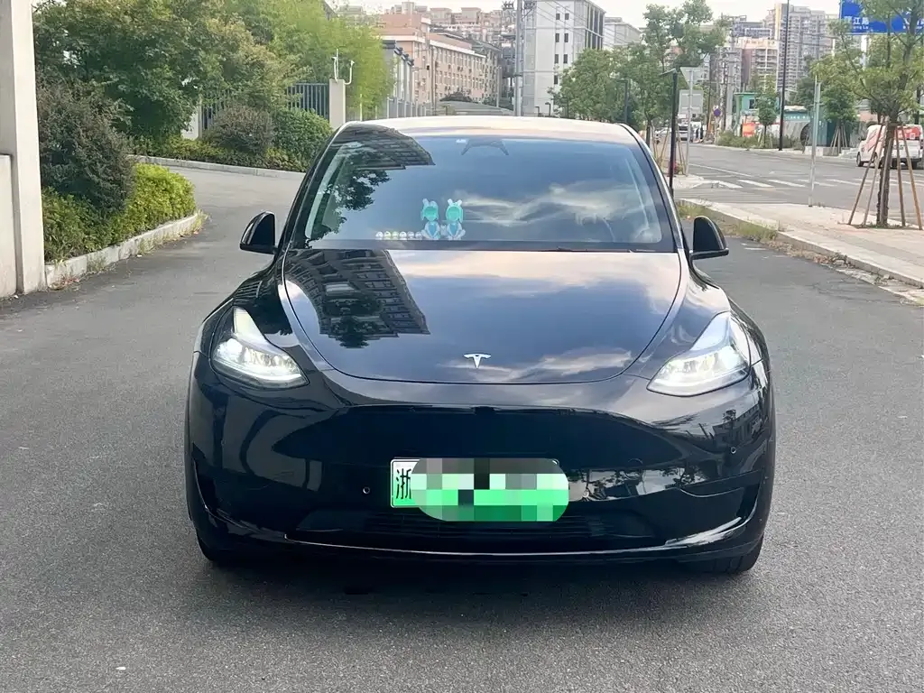 Tesla Model Y — фото 10