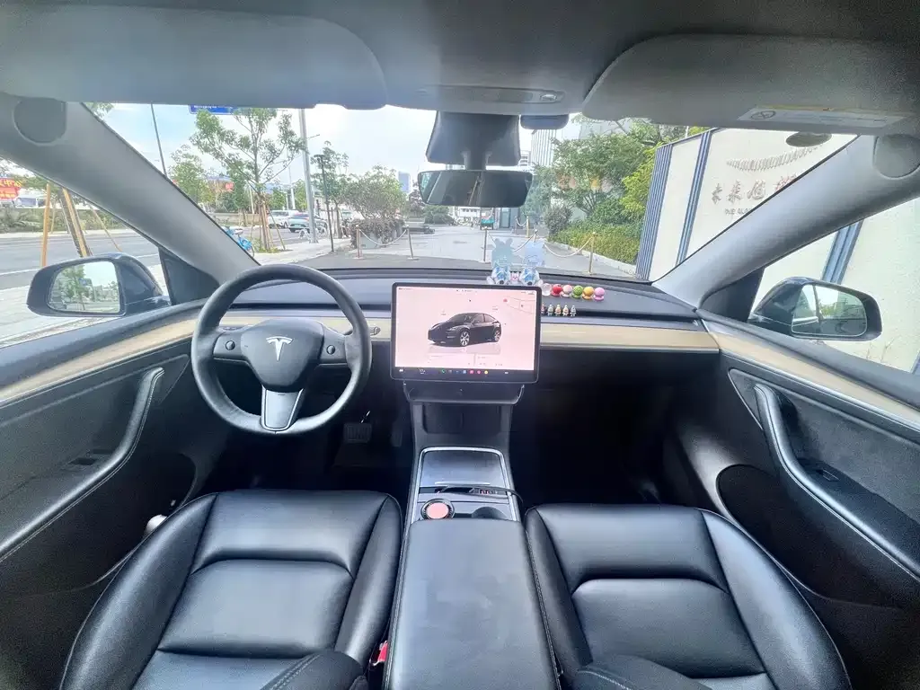 Tesla Model Y — фото 5